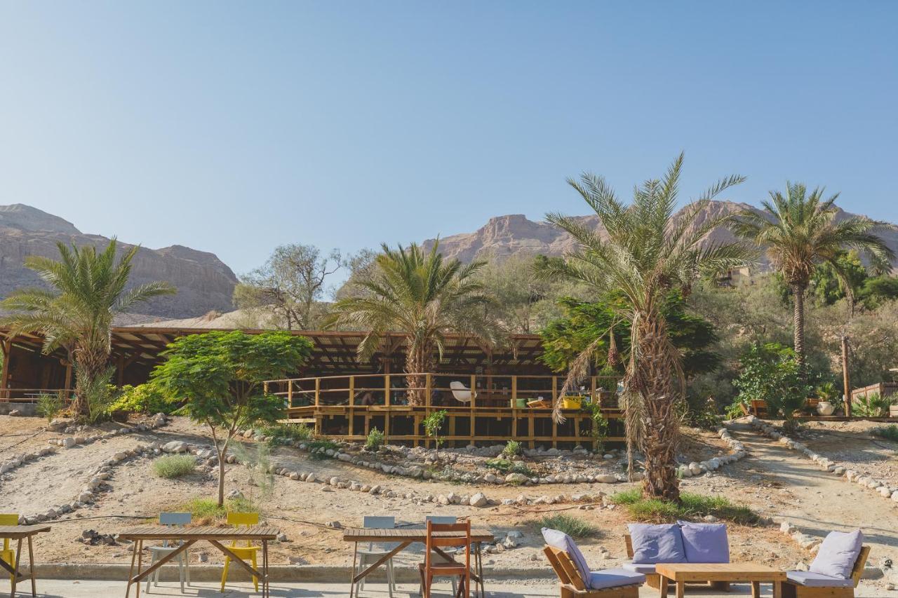 Ein Gedi Camp Lodge Kültér fotó